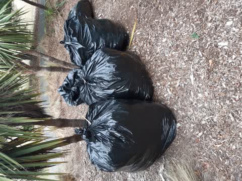 Rubbish/Recycling — a report photo
