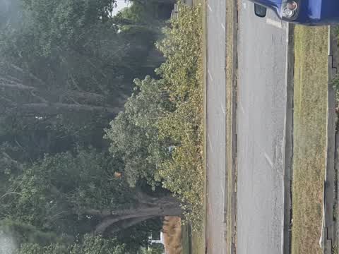 Parks, a report photo