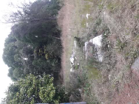 Rubbish/Recycling, a report photo