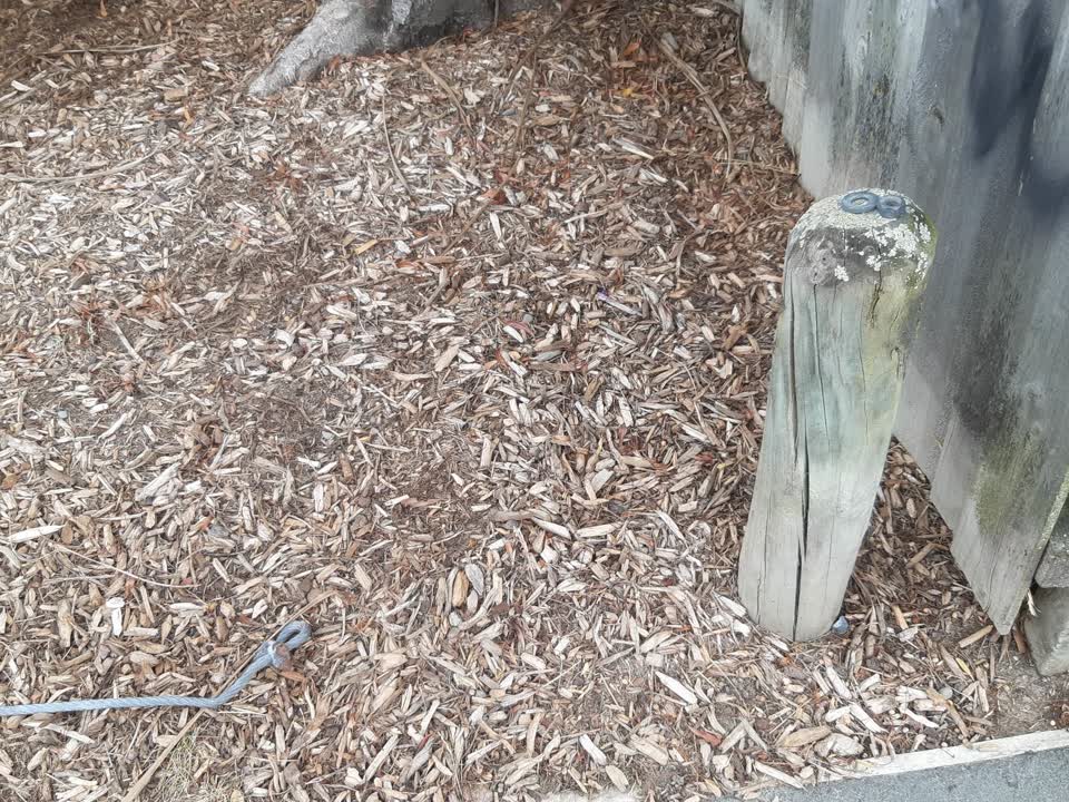 The photograph attached to this parks report