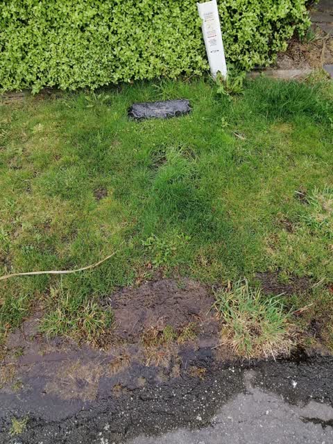 Water Leak, a report photo