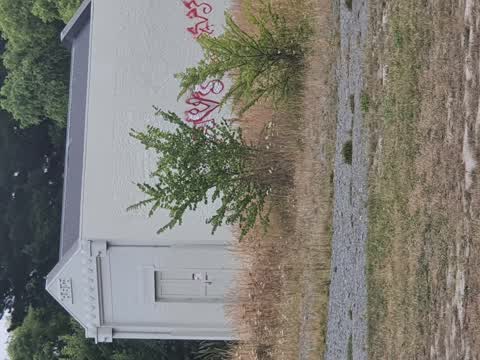 Graffiti — a report photo