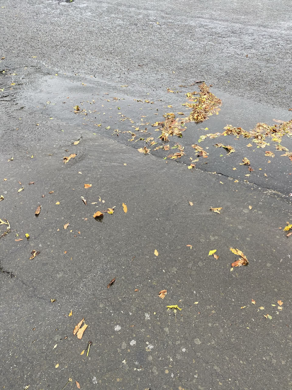 The photograph attached to this flooding report