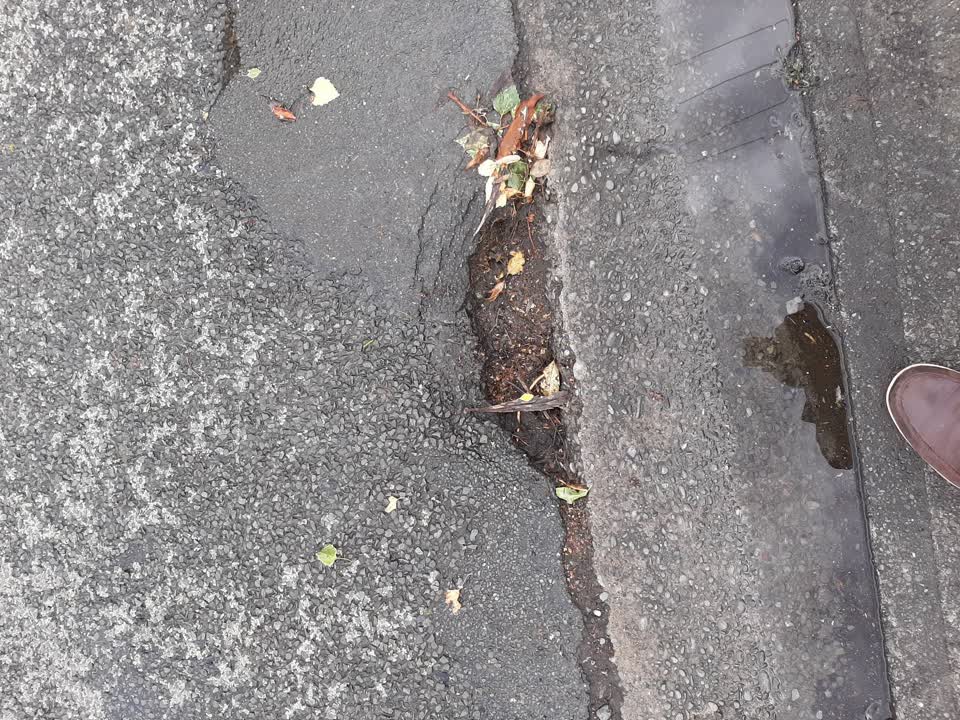The photograph attached to this roading/streets report