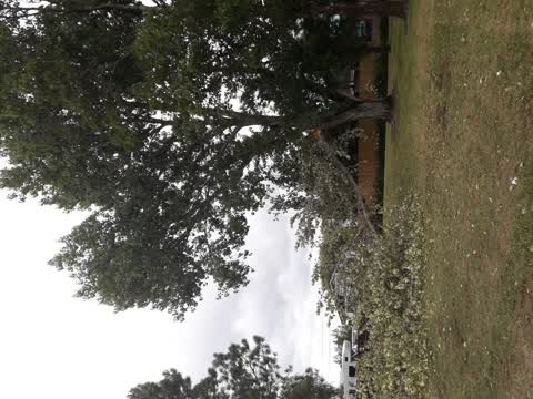 Parks, a report photo