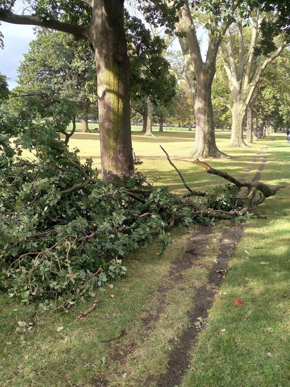 The photograph attached to this parks report