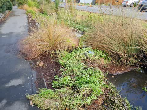 Flooding, a report photo