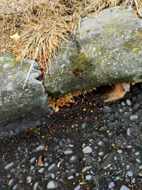 Flooding, a report photo