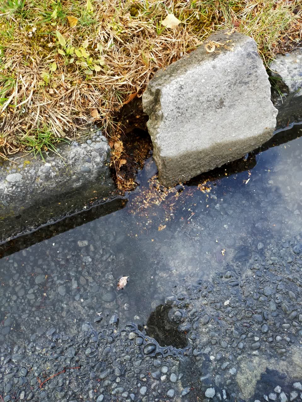 The photograph attached to this wastewater/stormwater report