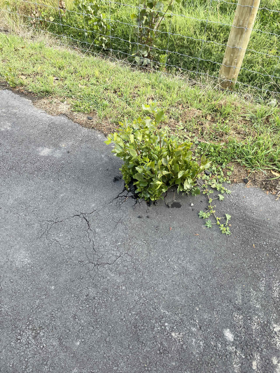 The photograph attached to this roading/streets report