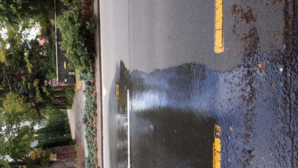 The photograph attached to this water leak report