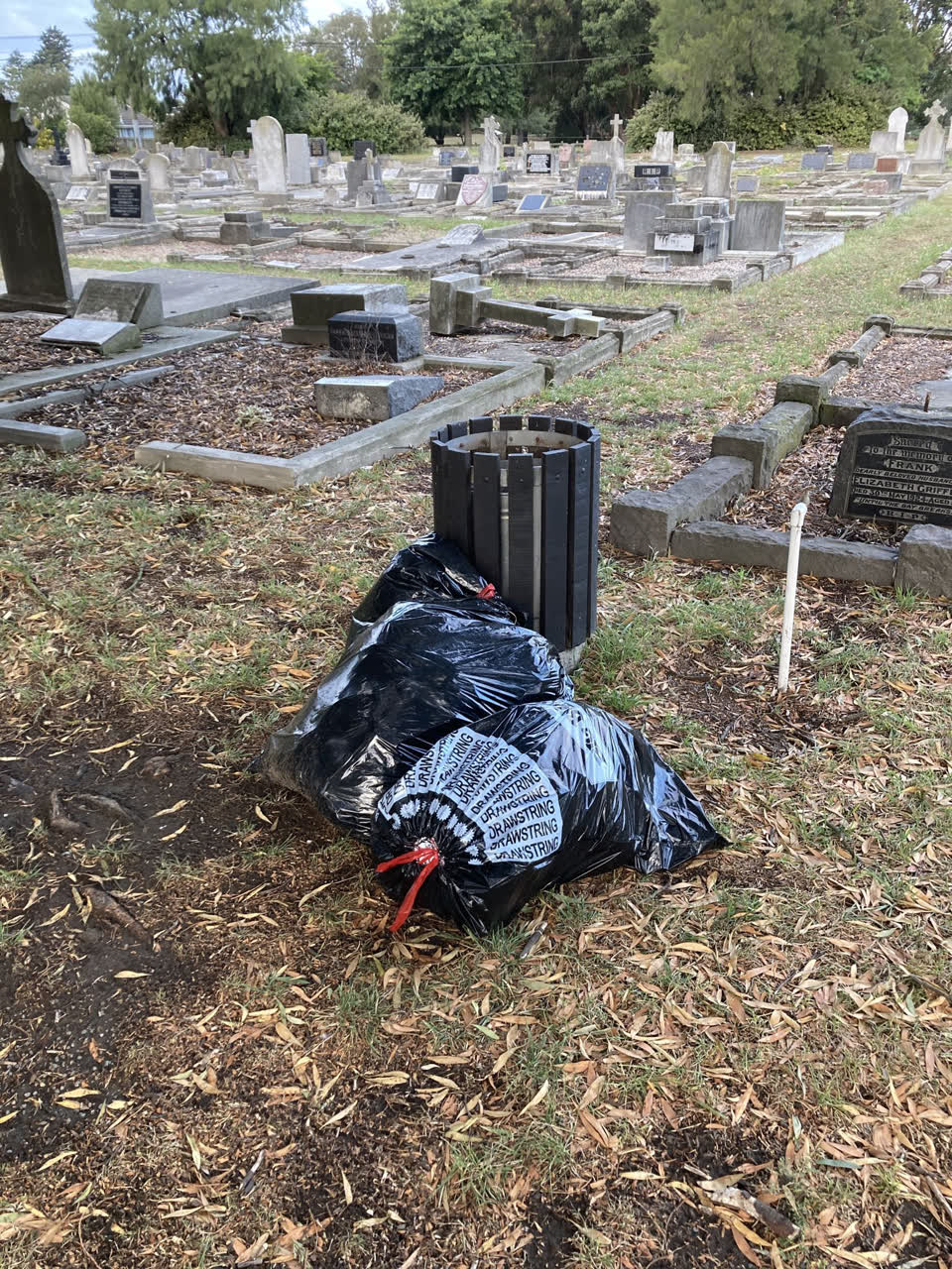 The photograph attached to this parks report