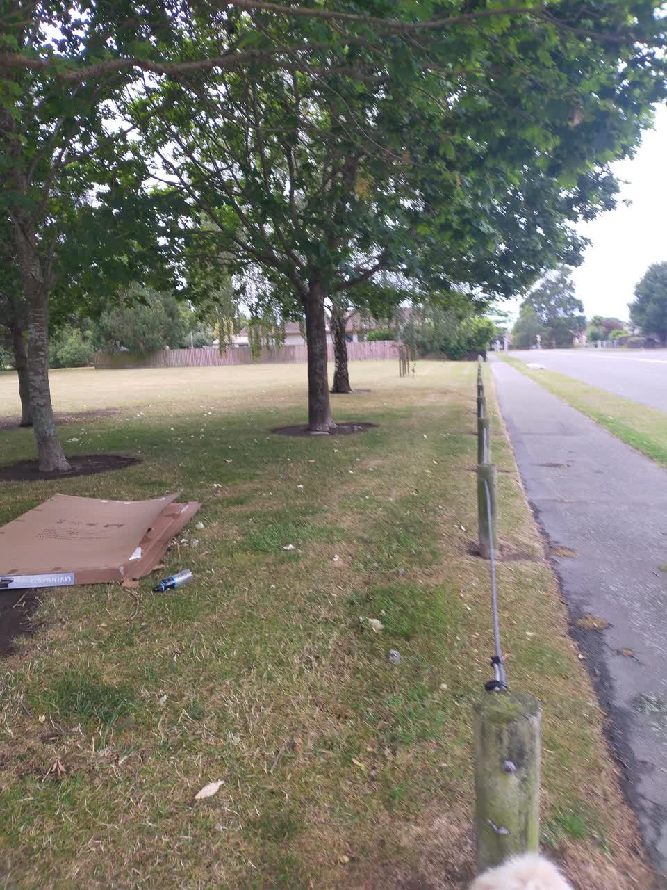 The photograph attached to this rubbish/recycling report