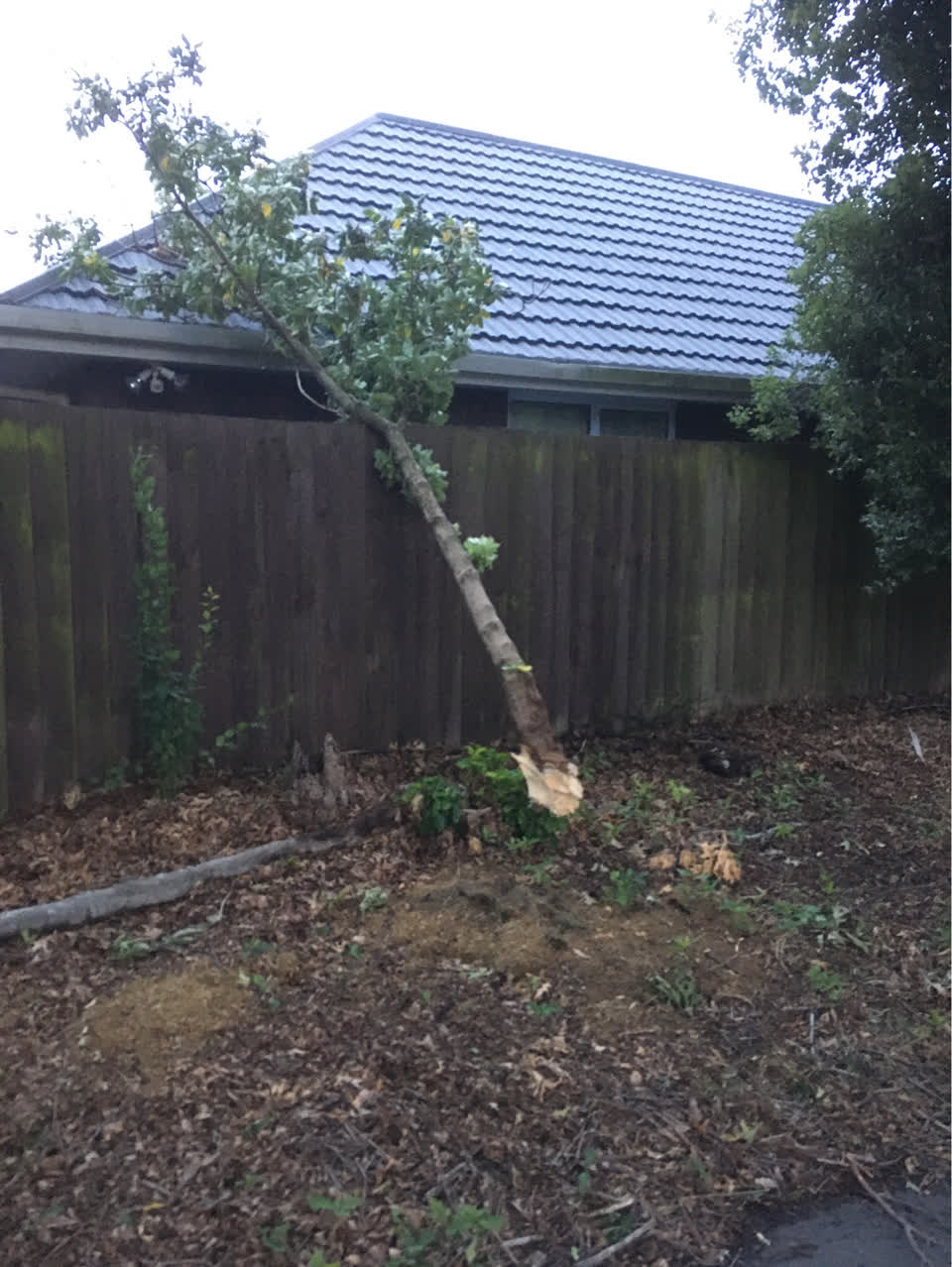 The photograph attached to this parks report
