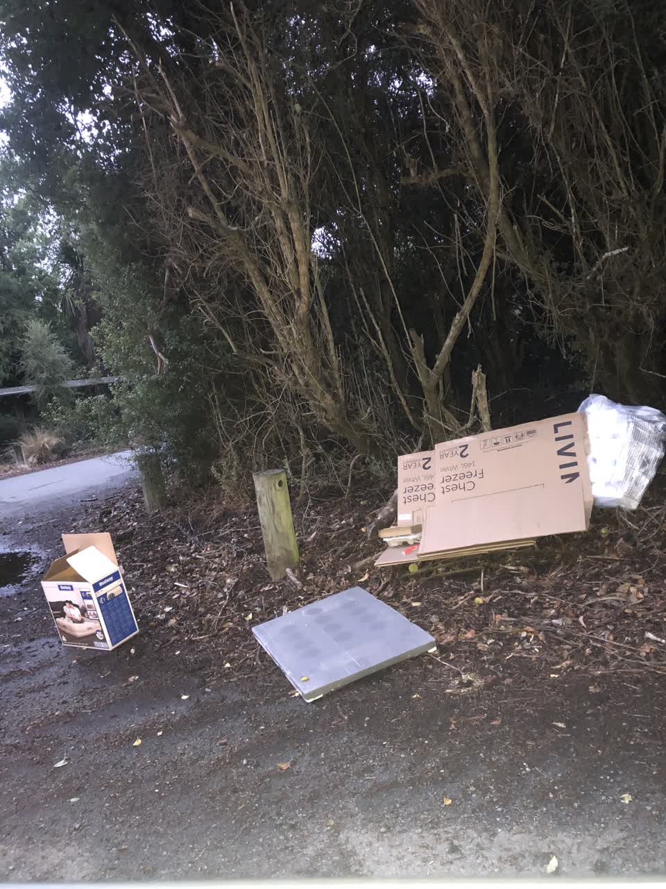 The photograph attached to this parks report