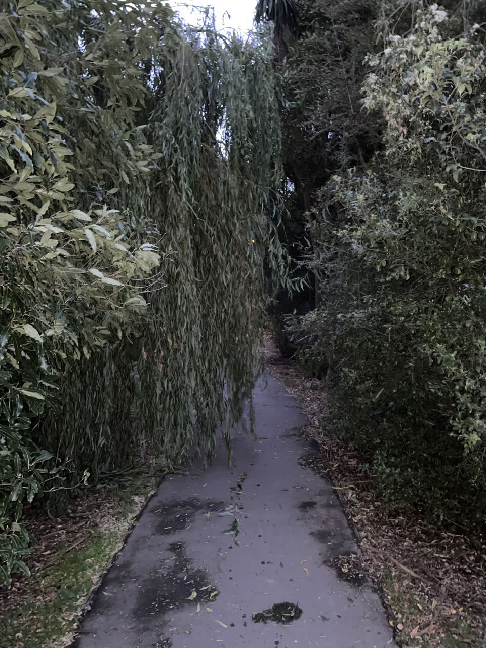 The photograph attached to this street light outage report