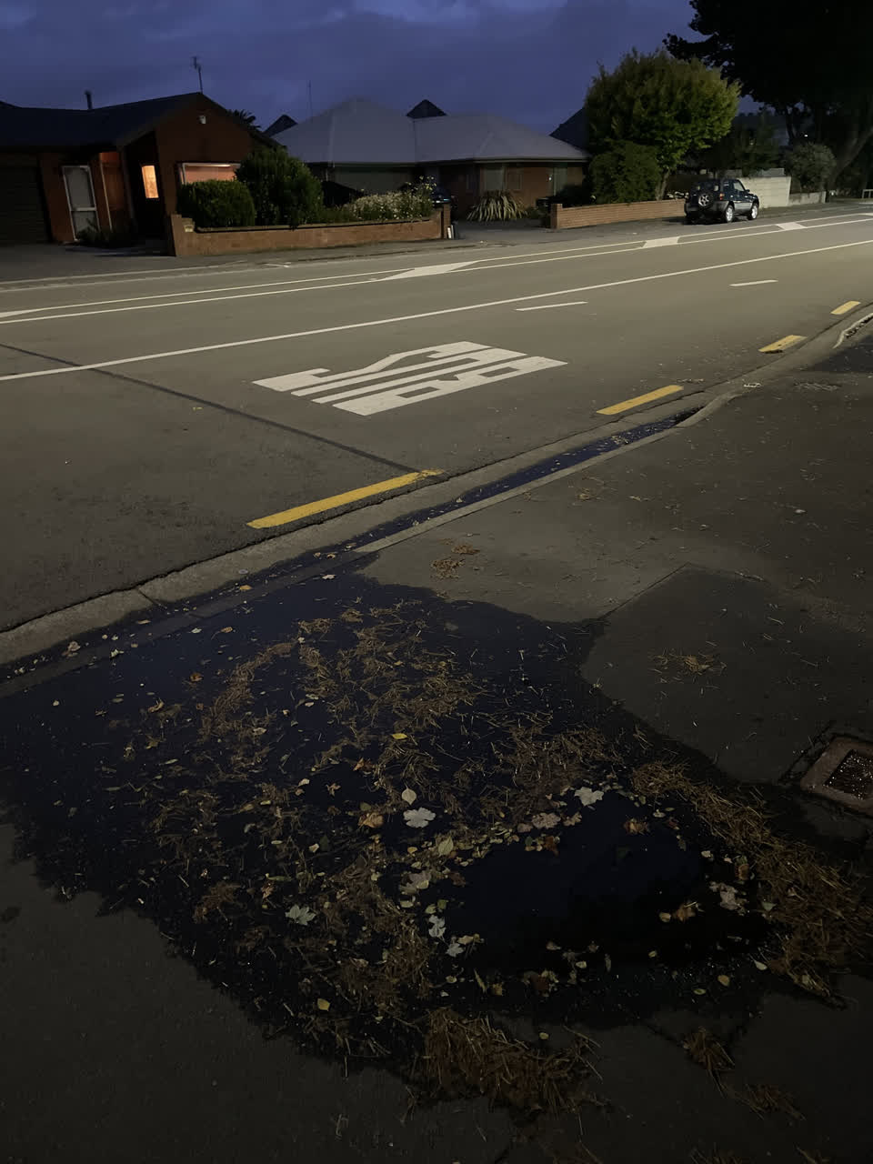 The photograph attached to this water leak report