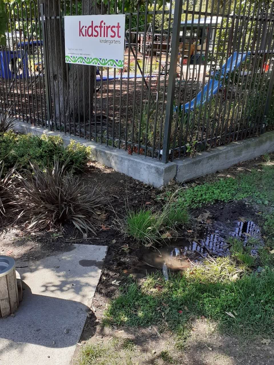 The photograph attached to this parks report