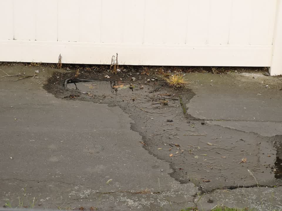 The photograph attached to this water leak report
