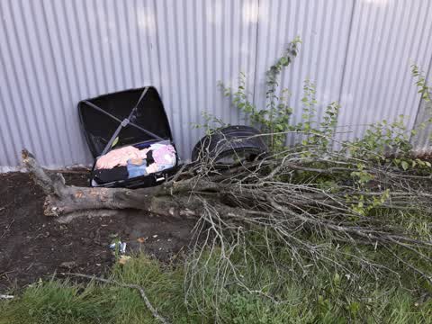 Parks, a report photo
