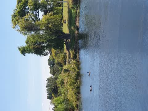 Parks, a report photo