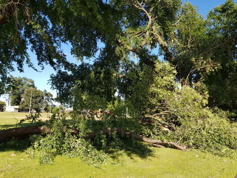 The photograph attached to this parks report
