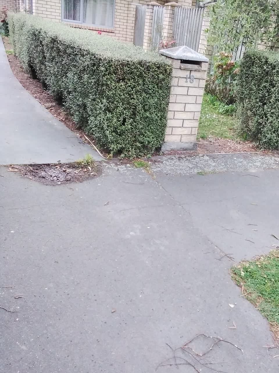 The photograph attached to this sewer - general report