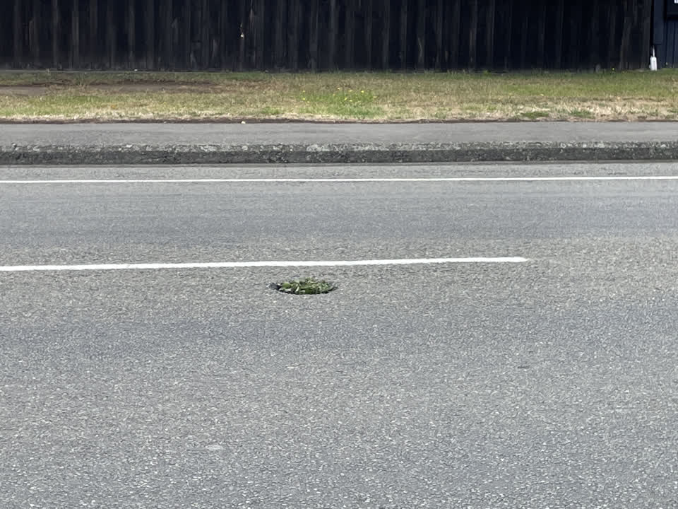The photograph attached to this roading/streets report