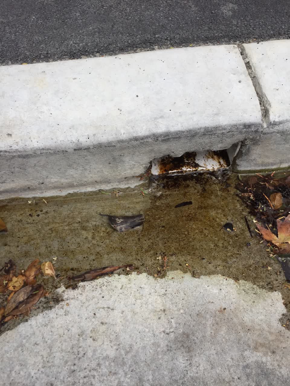 The photograph attached to this wastewater/stormwater report