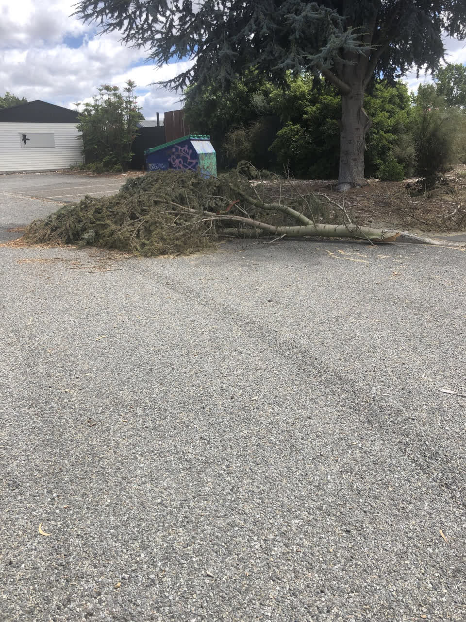 The photograph attached to this parks report