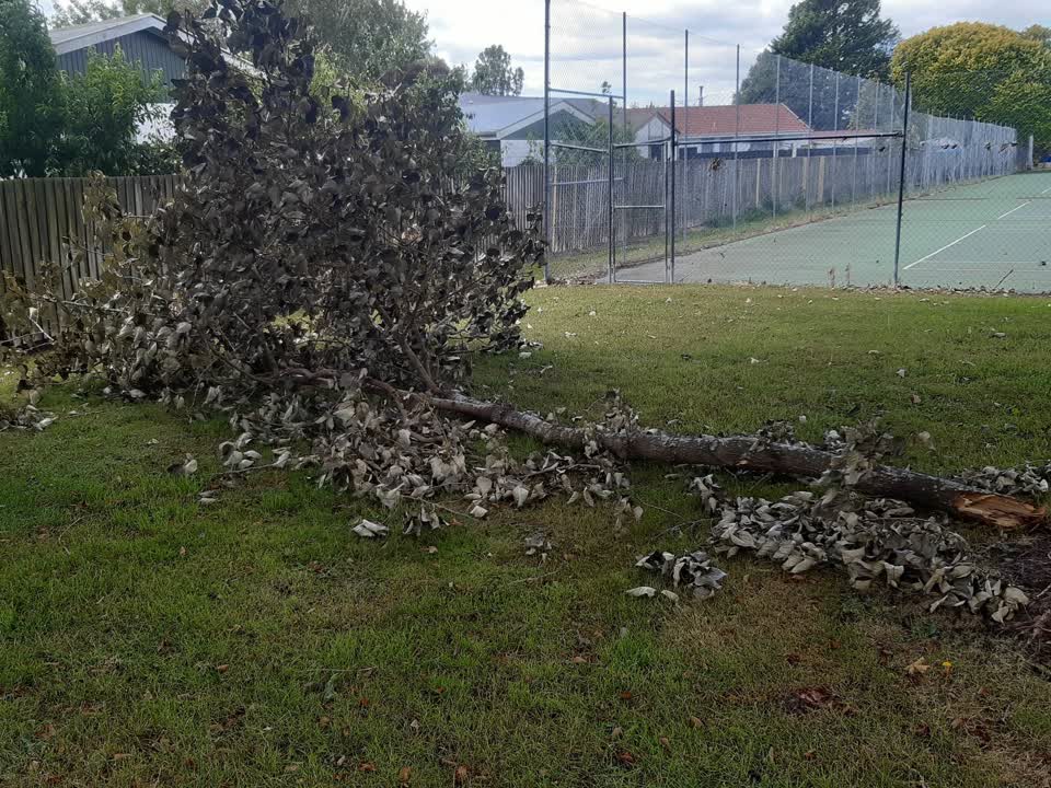 The photograph attached to this parks report