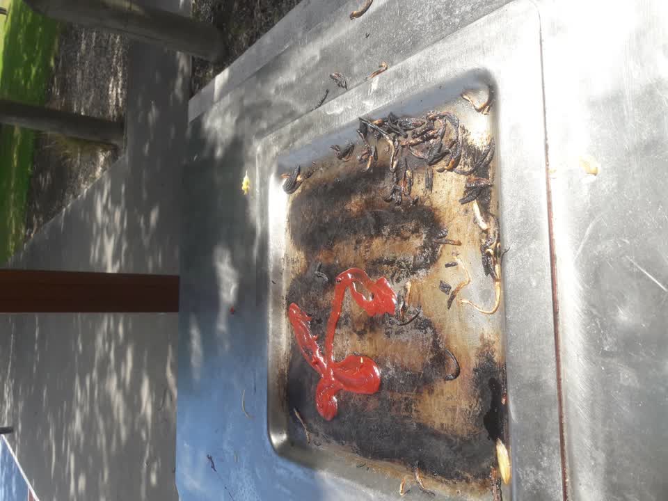 The photograph attached to this parks report