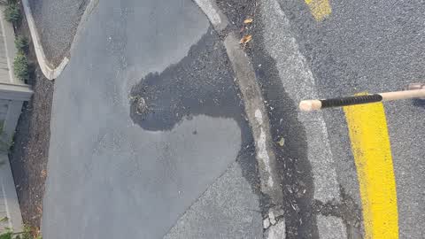 Water Leak, a report photo