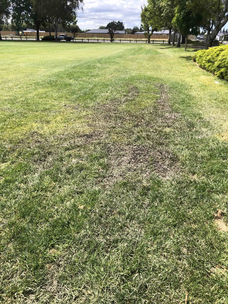 The photograph attached to this parks report