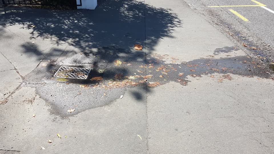 The photograph attached to this water leak report