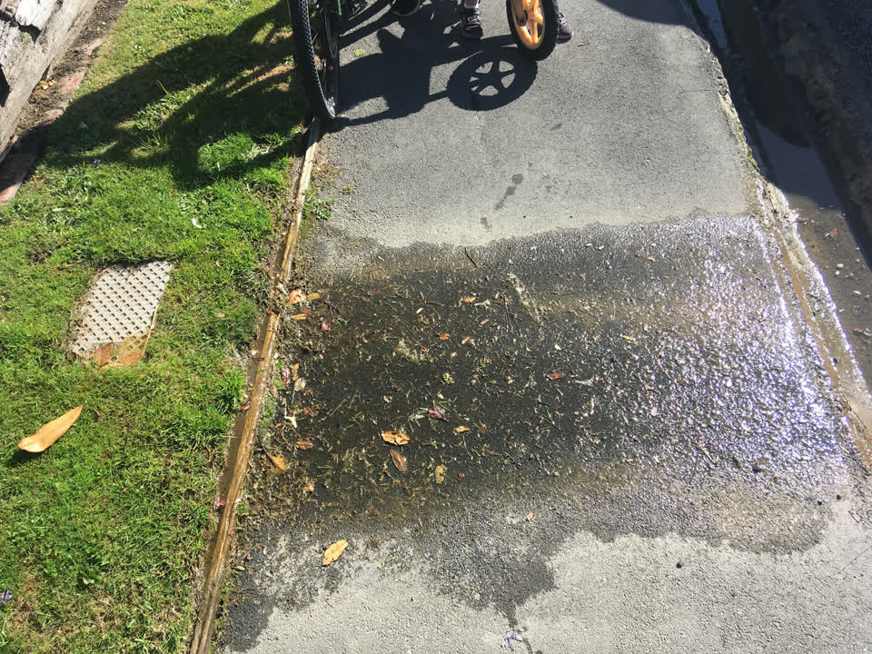 The photograph attached to this water leak report