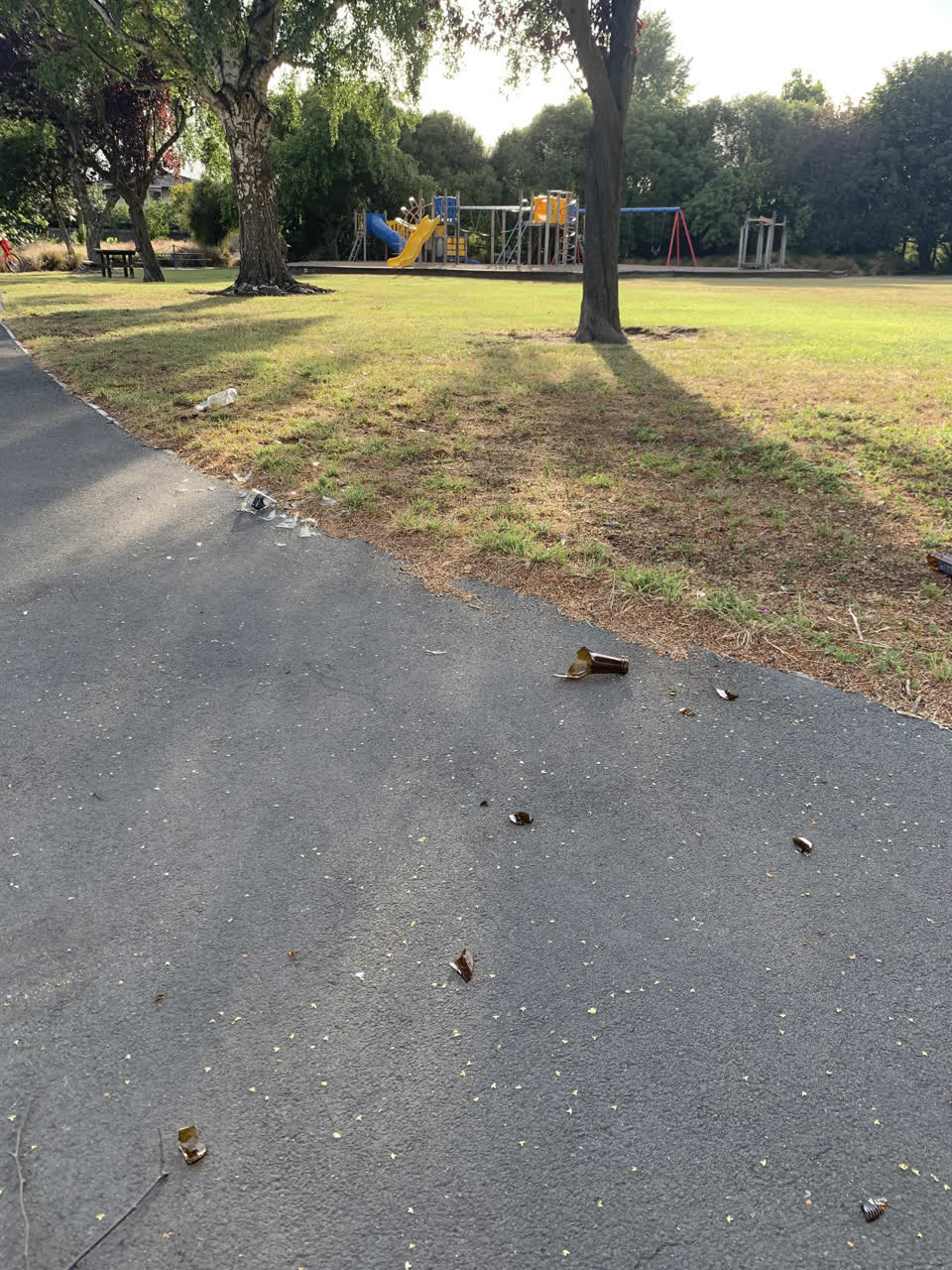 The photograph attached to this rubbish/recycling report