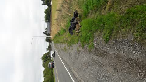 Roading/Streets, a report photo