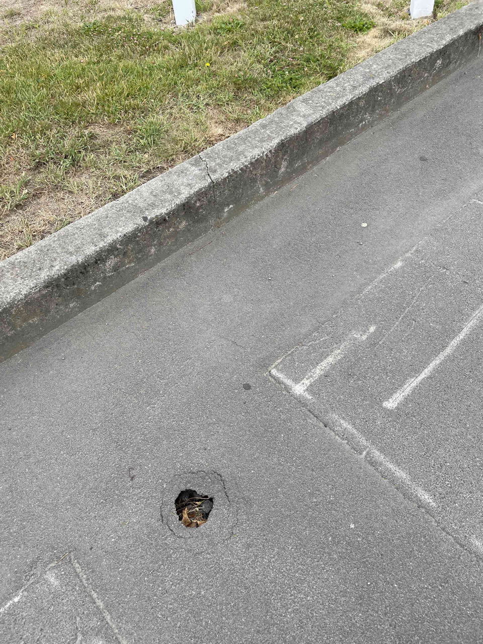 The photograph attached to this street light outage report