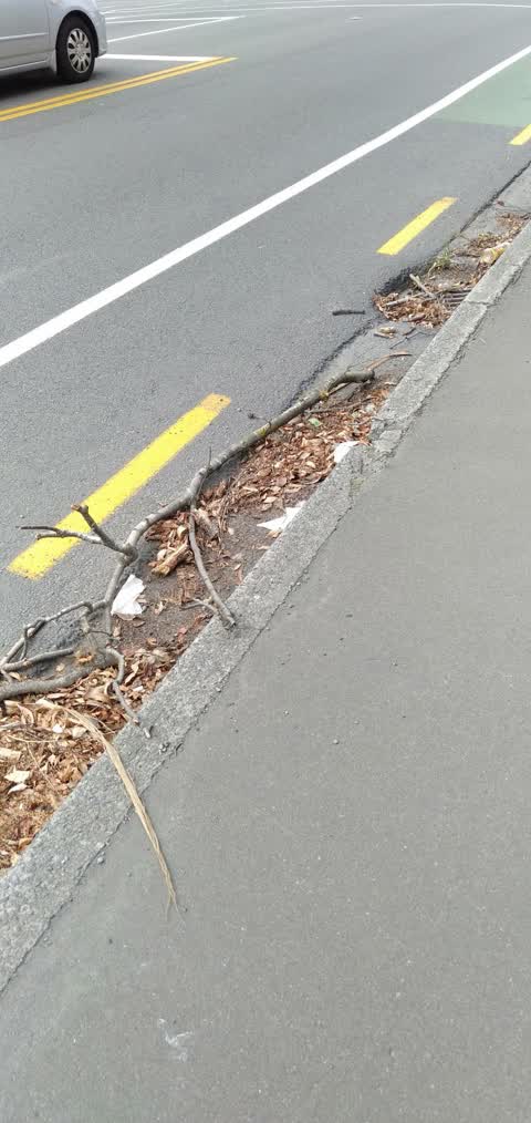 Wastewater/Stormwater — a report photo