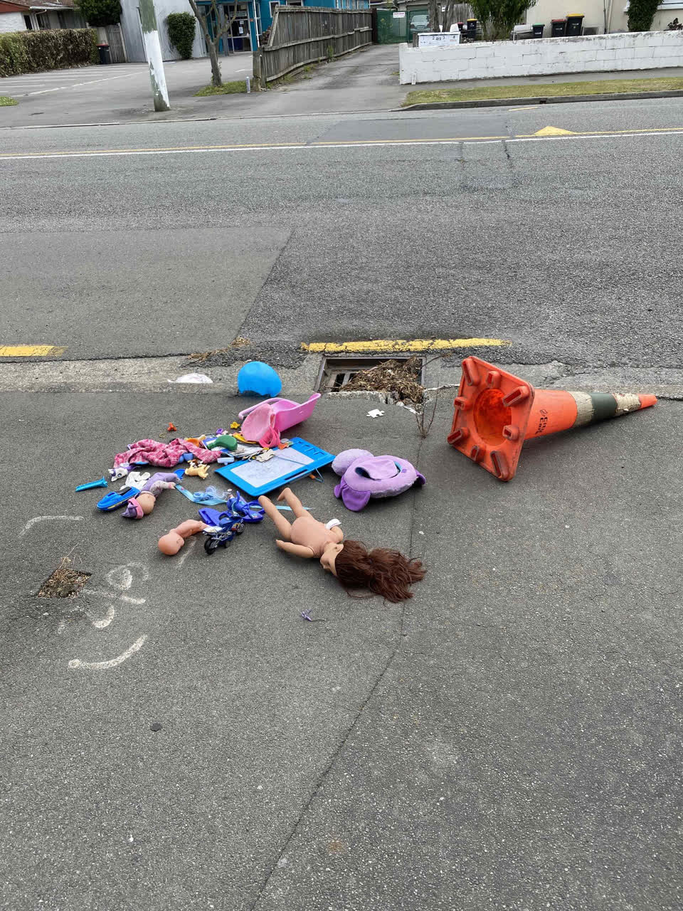 The photograph attached to this rubbish/recycling report