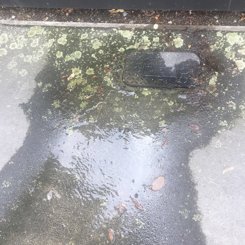 The photograph attached to this water leak report