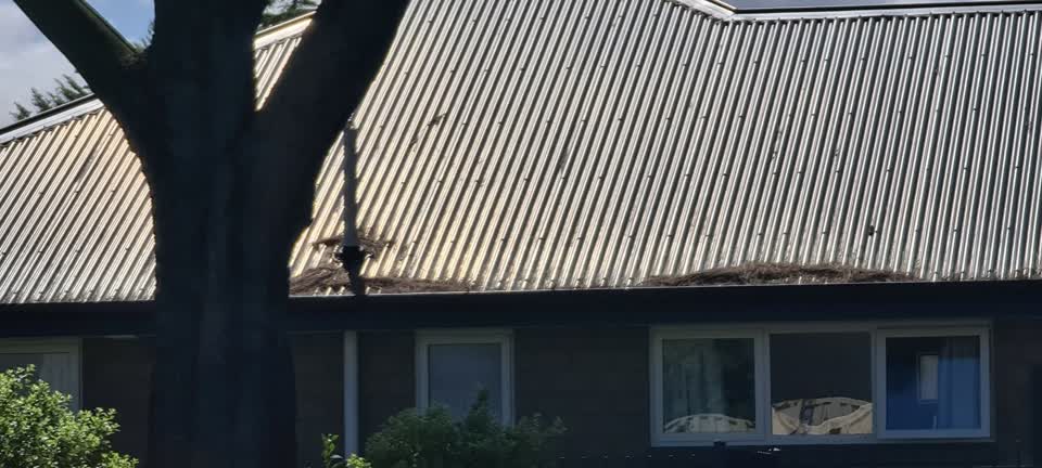 The photograph attached to this street light outage report
