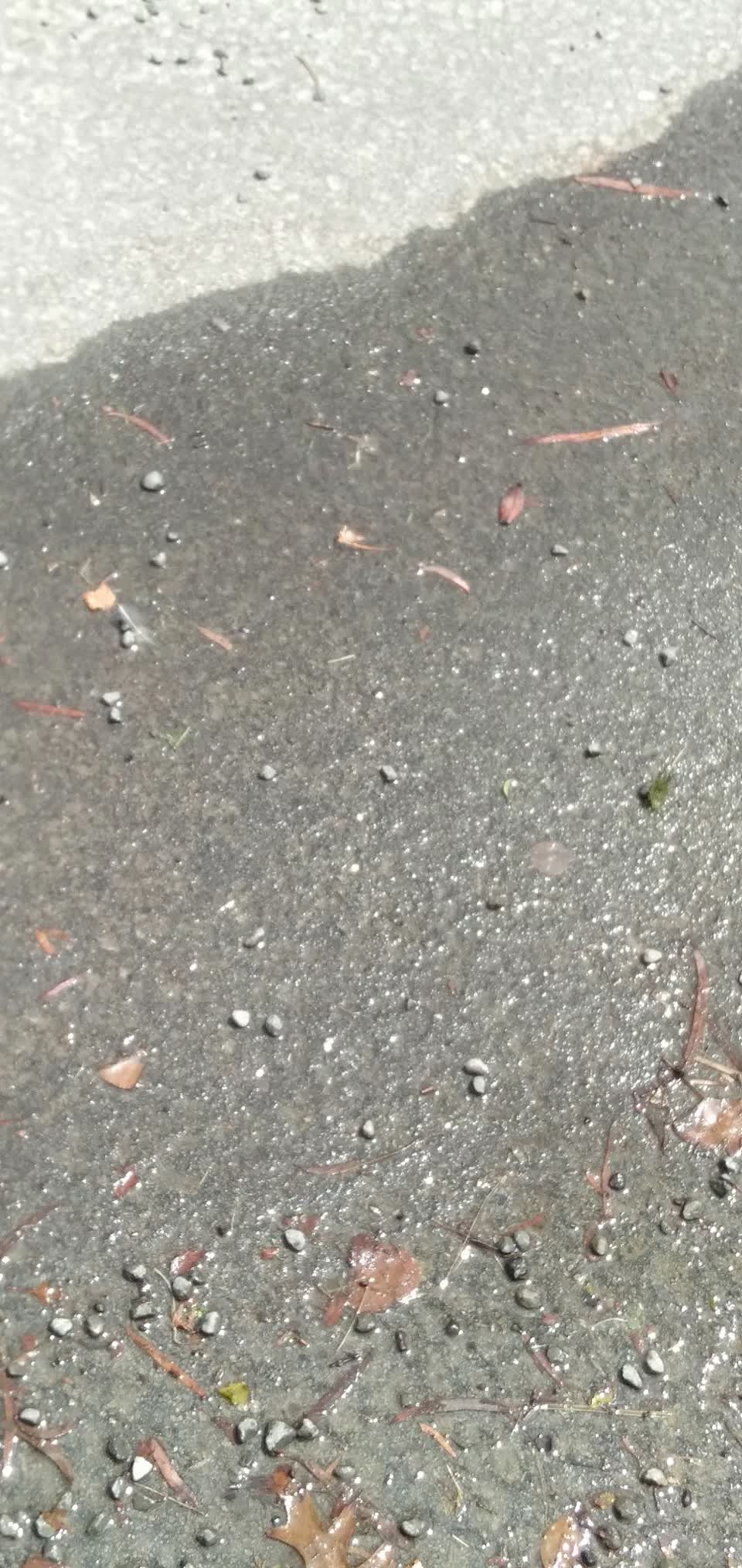The photograph attached to this water leak report
