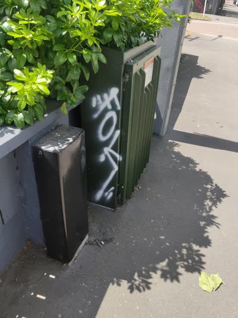 Graffiti, a report photo
