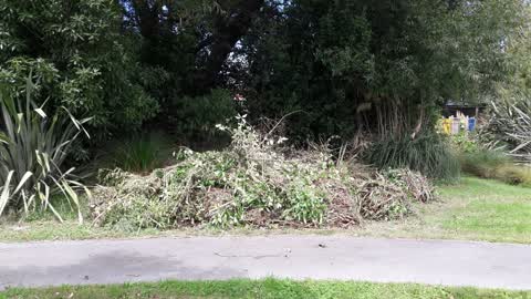 Parks — a report photo