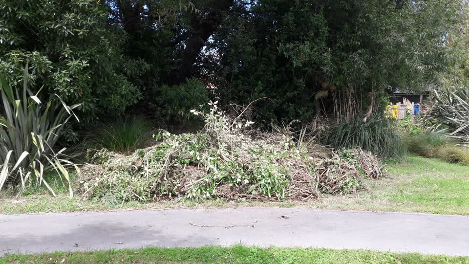 The photograph attached to this parks report