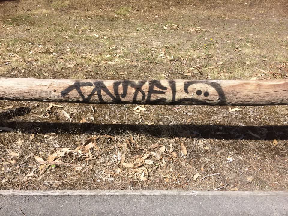 The photograph attached to this graffiti report