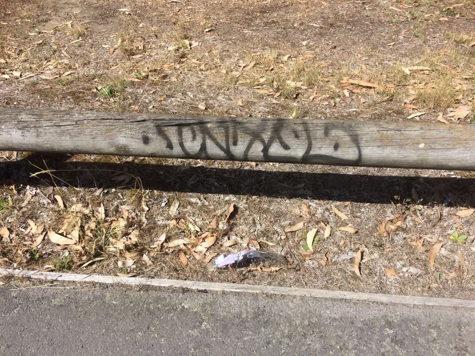 The photograph attached to this graffiti report