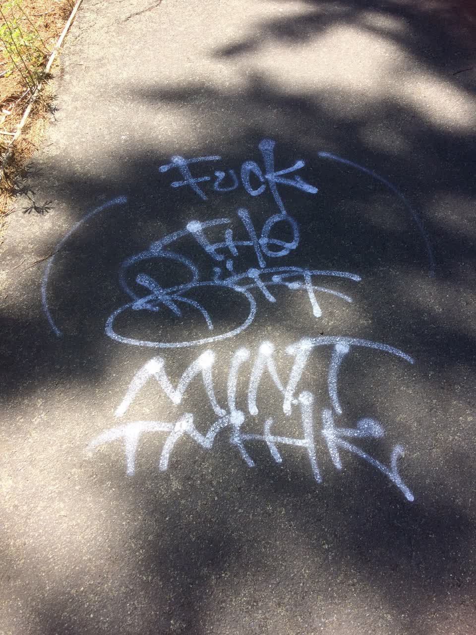 The photograph attached to this graffiti report